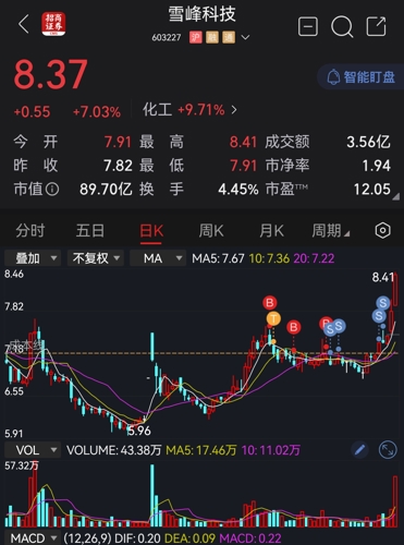 雪峰科技股票最新消息深度解析