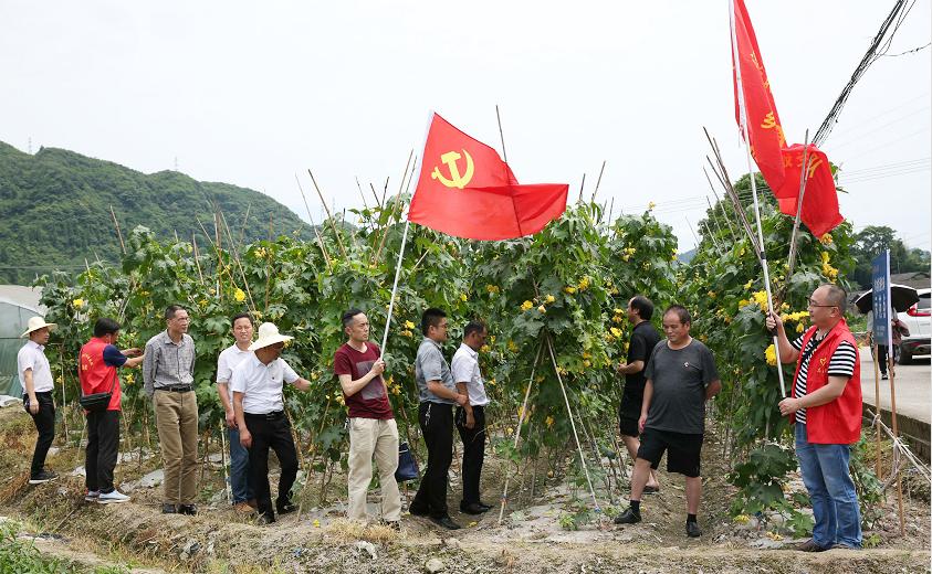 沅陵红网最新消息首页，探寻沅陵的新动态与发展