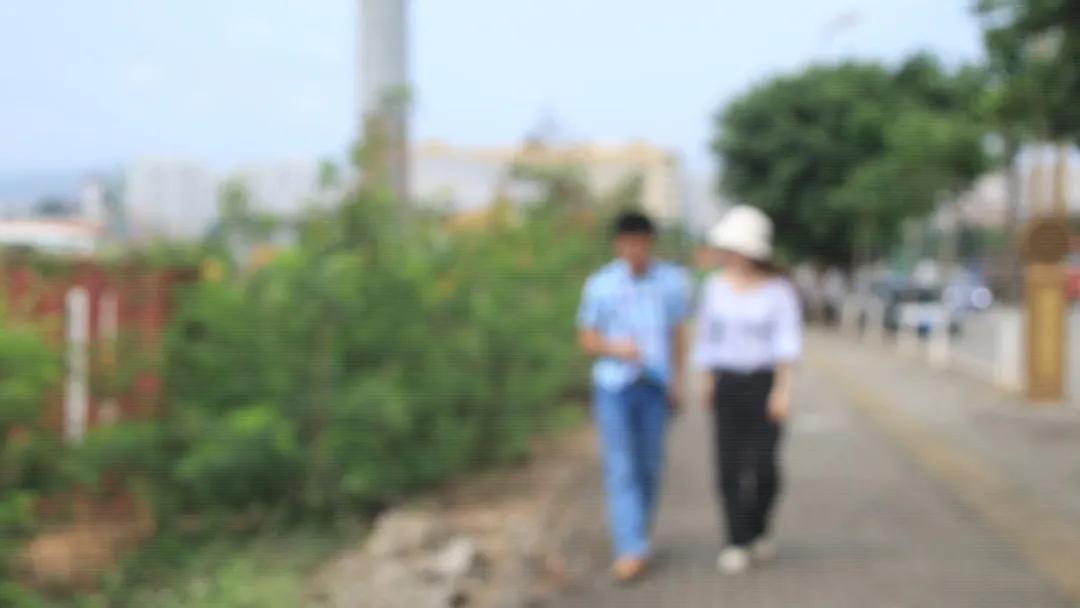 田阳新闻最新消息，车祸事件震惊社会